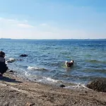 Seaside Oasis In Skovmose-by Traum بيت للعطل