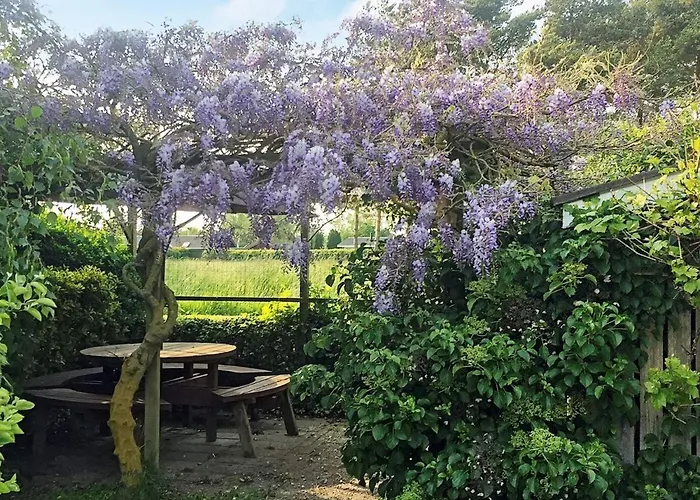 Seaside Oasis In Skovmose-by Traum